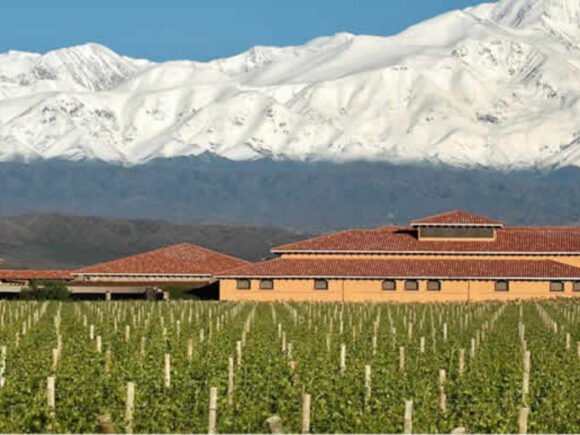 Mendoza-Bodegas-Mendoza-FincaDecero-1280x720-1.jpg