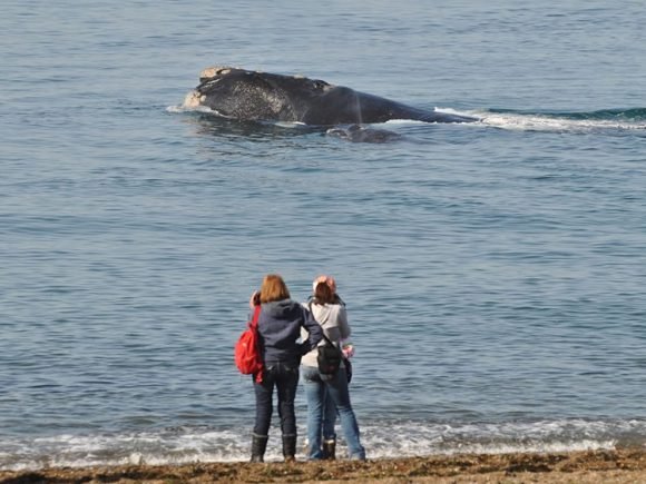 Viajes-Puerto-Madryn_3.jpg