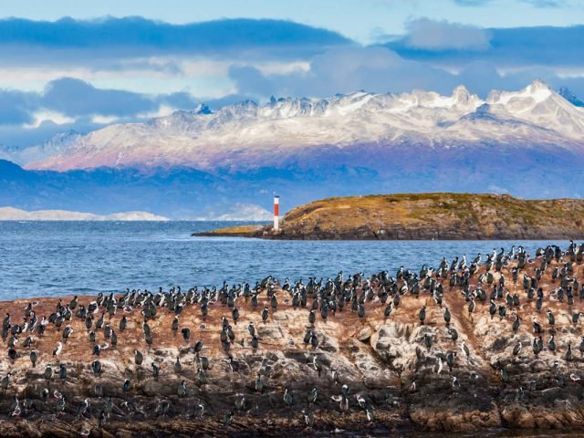 Bird Island near Ushuaia